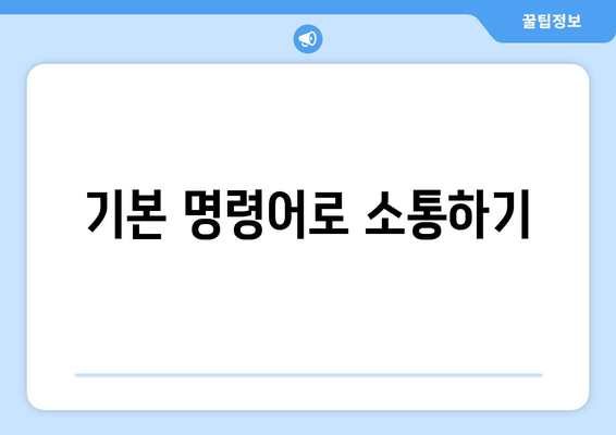 반려견과의 행복한 동거를 위한 7가지 훈련 팁 | 반려동물, 훈련 방법, 행복한 삶