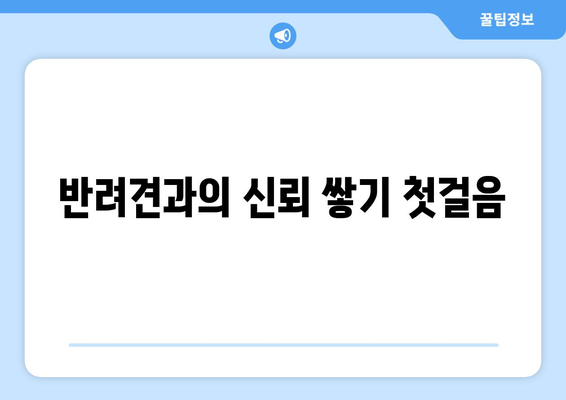 반려견과의 행복한 동거를 위한 7가지 훈련 팁 | 반려동물, 훈련 방법, 행복한 삶