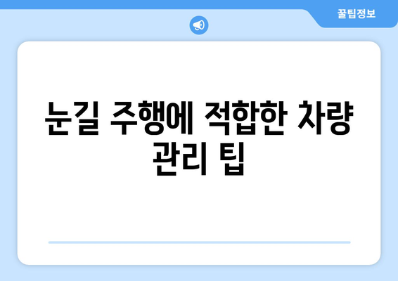 눈 내리는 날, 차량 안전 필수품| 스노우 타이어와 체인 선택 가이드 | 겨울철 안전, 차량 관리, 필수 용품